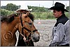 IMG_4454n.jpg(40,0 KB)