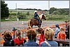 IMG_4476n.jpg(44,4 KB)