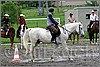 IMG_4482n.jpg(49,3 KB)