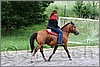 IMG_4487n.jpg(48,2 KB)