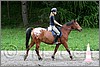 IMG_4500n.jpg(47,6 KB)