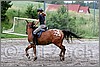 IMG_4504n.jpg(52,5 KB)
