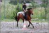 IMG_4505n.jpg(53,3 KB)