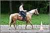 IMG_4517n.jpg(46,0 KB)