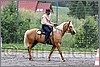 IMG_4520n.jpg(58,8 KB)