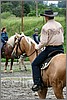 IMG_4524n.jpg(42,4 KB)