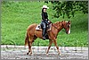 IMG_4525n.jpg(50,8 KB)