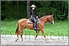 IMG_4526n.jpg(47,5 KB)
