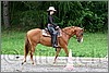 IMG_4527n.jpg(49,7 KB)