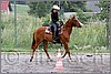 IMG_4528n.jpg(56,7 KB)