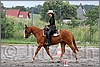 IMG_4529n.jpg(53,9 KB)