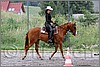 IMG_4530n.jpg(56,5 KB)