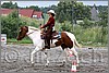 IMG_4535n.jpg(53,2 KB)