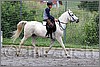 IMG_4544n.jpg(57,1 KB)