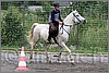 IMG_4545n.jpg(56,4 KB)