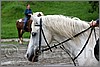 IMG_4547n.jpg(35,3 KB)