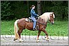 IMG_4551n.jpg(46,7 KB)