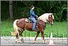 IMG_4552n.jpg(48,1 KB)