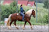 IMG_4554n.jpg(58,1 KB)