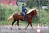IMG_4555n.jpg(56,6 KB)