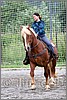 IMG_4557n.jpg(51,6 KB)