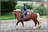 IMG_4558n.jpg(52,0 KB)
