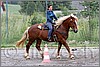 IMG_4560n.jpg(54,4 KB)