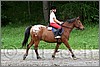 IMG_4569n.jpg(45,9 KB)