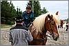 IMG_4583n.jpg(43,2 KB)
