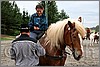 IMG_4584n.jpg(43,6 KB)
