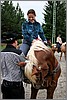IMG_4585n.jpg(45,3 KB)
