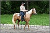 IMG_4612n.jpg(48,5 KB)