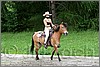 IMG_4613n.jpg(49,1 KB)