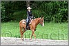 IMG_4616n.jpg(51,7 KB)