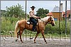 IMG_4617n.jpg(54,8 KB)