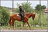 IMG_4619n.jpg(57,2 KB)