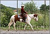 IMG_4623n.jpg(58,0 KB)