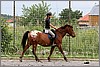 IMG_4626n.jpg(57,1 KB)