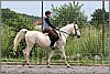IMG_4627n.jpg(58,2 KB)