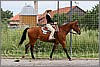 IMG_4631n.jpg(54,8 KB)