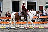 IMG_4635n.jpg(49,4 KB)