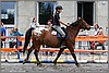 IMG_4636n.jpg(50,3 KB)