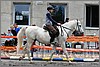 IMG_4637n.jpg(48,3 KB)