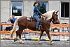 IMG_4639n.jpg(49,6 KB)