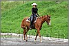 IMG_4640n.jpg(51,6 KB)