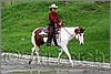 IMG_4643n.jpg(49,5 KB)