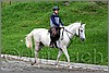 IMG_4645n.jpg(49,2 KB)