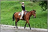 IMG_4647n.jpg(50,8 KB)