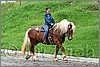 IMG_4648n.jpg(50,8 KB)