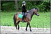 IMG_4652n.jpg(49,7 KB)